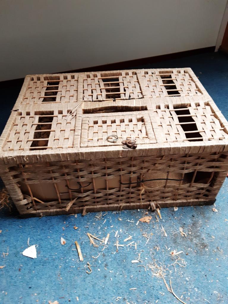 Rieten transport mand, Ophalen of Verzenden