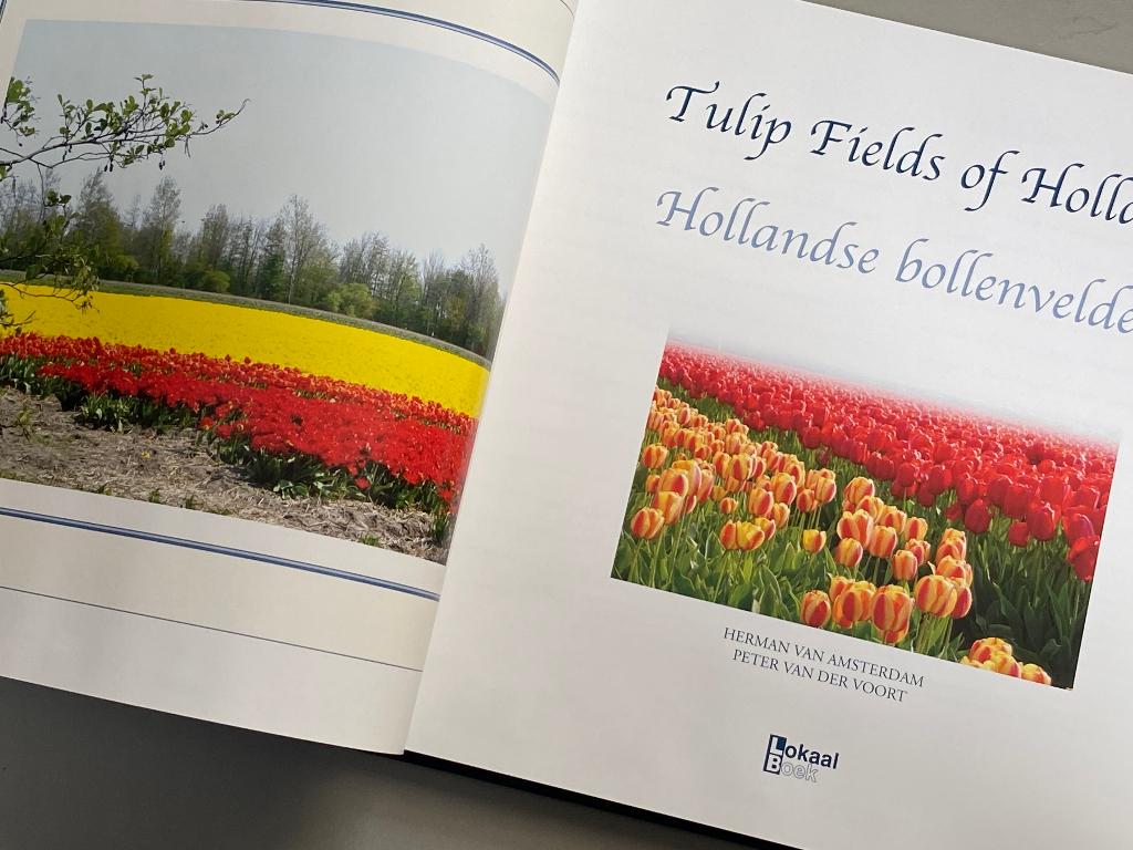 Hollandse Bollenvelden Tulip Fields Of Holland  schilderijen, Ophalen of Verzenden, Zo goed als nieuw, Schilder- en Tekenkunst