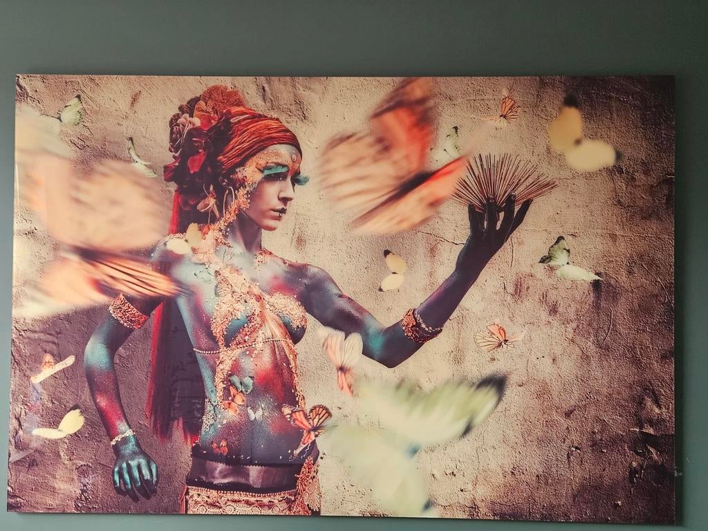 Plexiglas schilderij met vrouw en vlinders, Ophalen