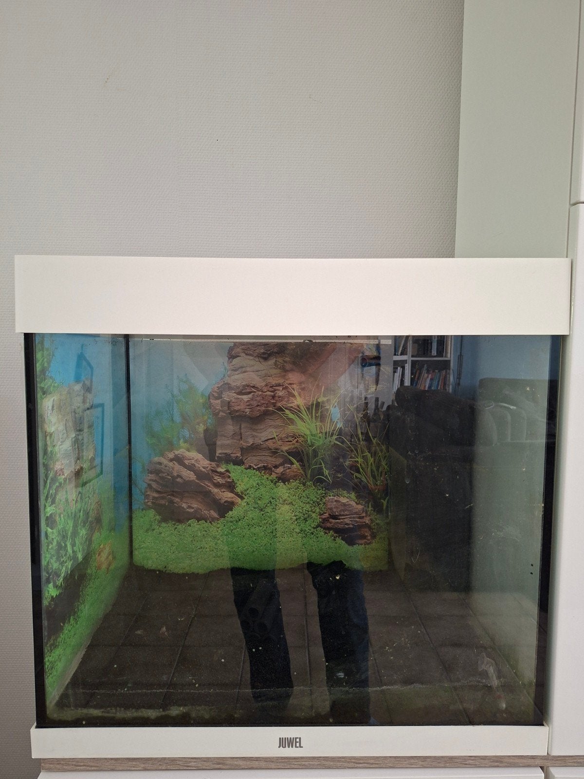 Juwel aquarium 60x40 120 liter ca50cm hoog, Ophalen, Leeg aquarium