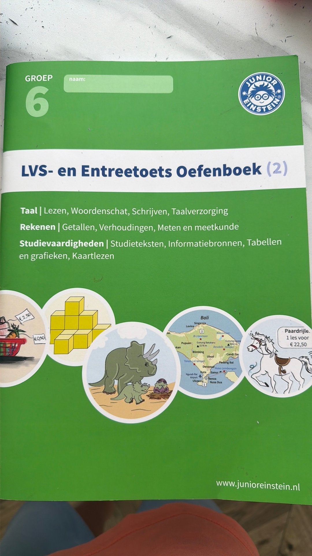 LVS-en Entreetoets oefenboek 2, Ophalen of Verzenden, Zo goed als nieuw