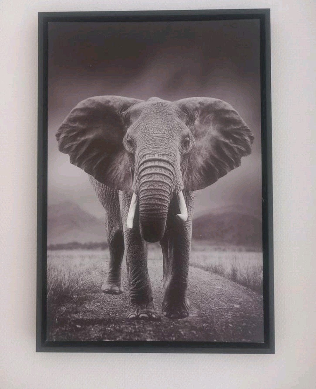 Canvas olifant, Huis en Inrichting, Ophalen, Zo goed als nieuw, Minder dan 50 cm, Foto of Poster