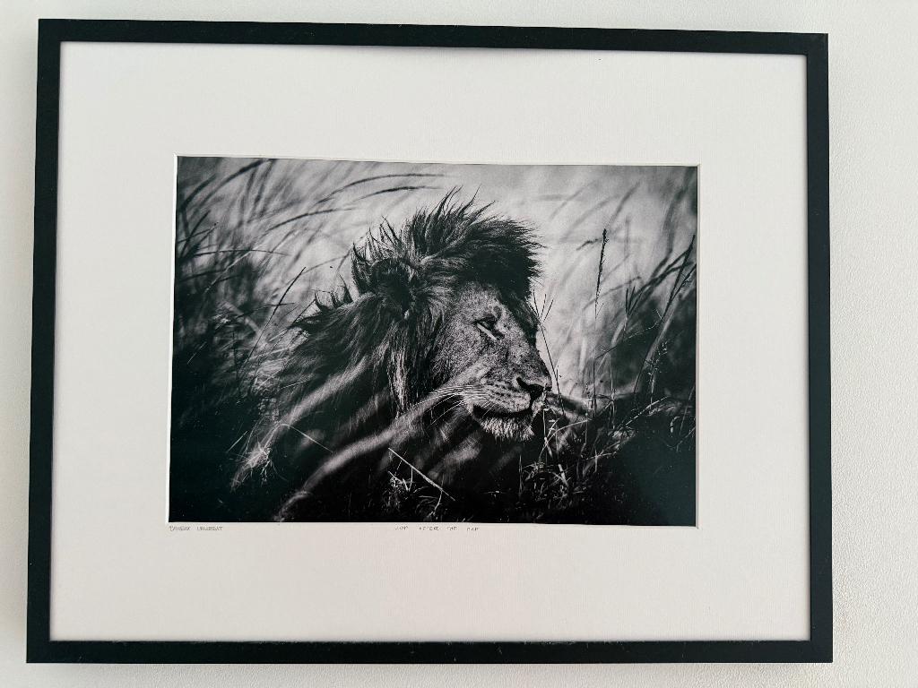3x YellowKorner foto’s 40x50 / museumglas, Ophalen of Verzenden