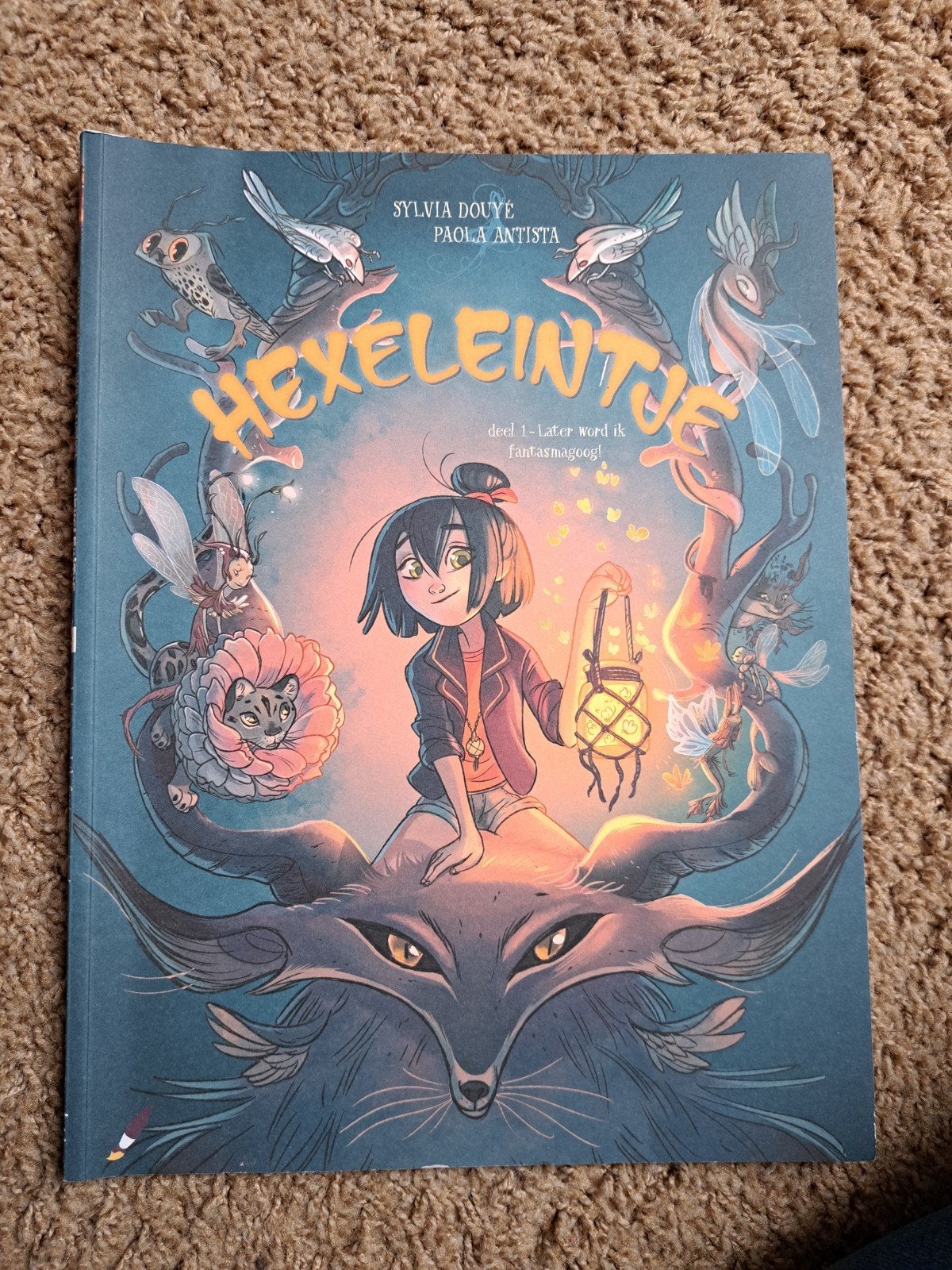 Hexeleintje deel 1 - Sylvia Douyé & Paola Antista, Boeken, Ophalen, Zo goed als nieuw, Sylvia Douyé, Paola Antista, Fictie