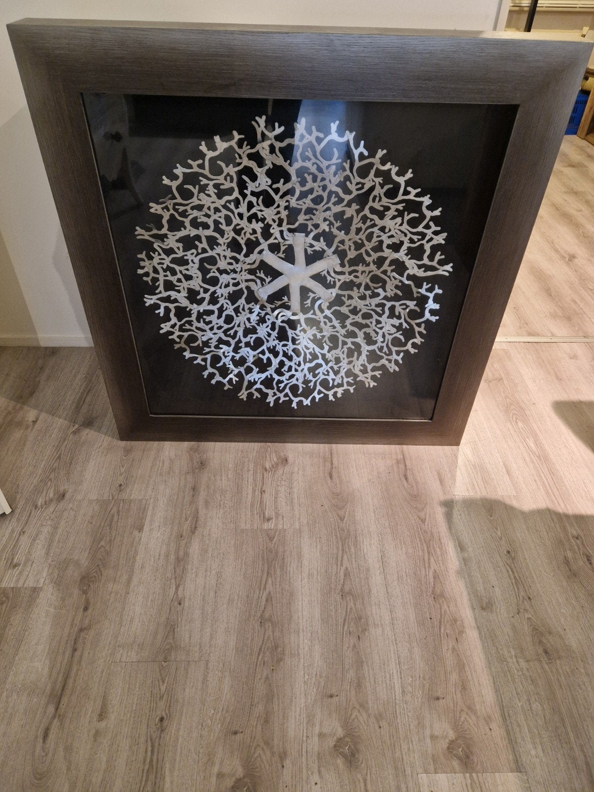 Ingelijste Witte Koraal Decoratie - Modern Kunstwerk, Ophalen, Ingelijst, Overige technieken, Abstract