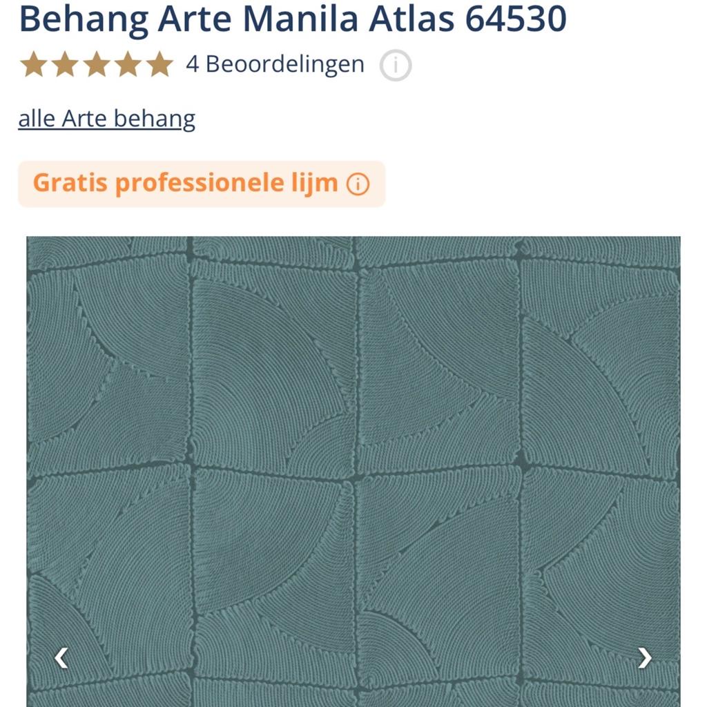 GEZOCHT: Arte Behang Manila Atlas 64530 - Twee rollen, Ophalen, Minder dan 10 m², Groen