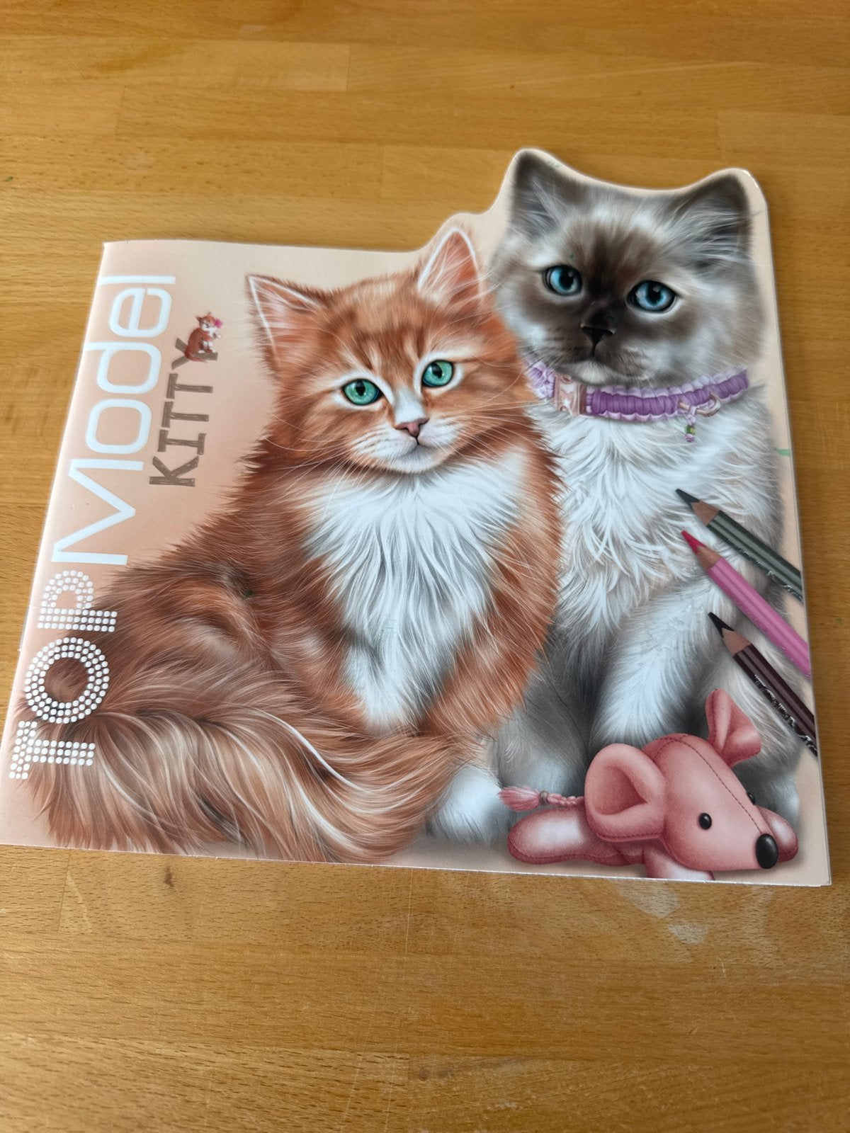 TOPModel Kitty kleurboek met stickers en sjablonen, Ophalen of Verzenden, Zo goed als nieuw, Knutselen