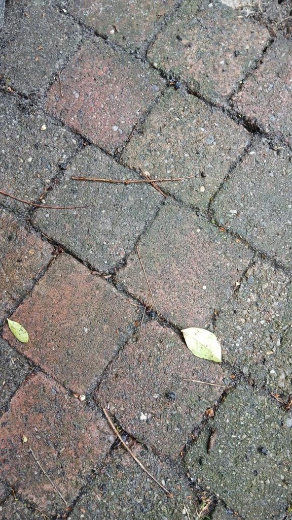 Gratis klinkers/koppelstones/cobblestones, Tuin en Terras, Tegels en Klinkers, Ophalen, Beton, Klinkers