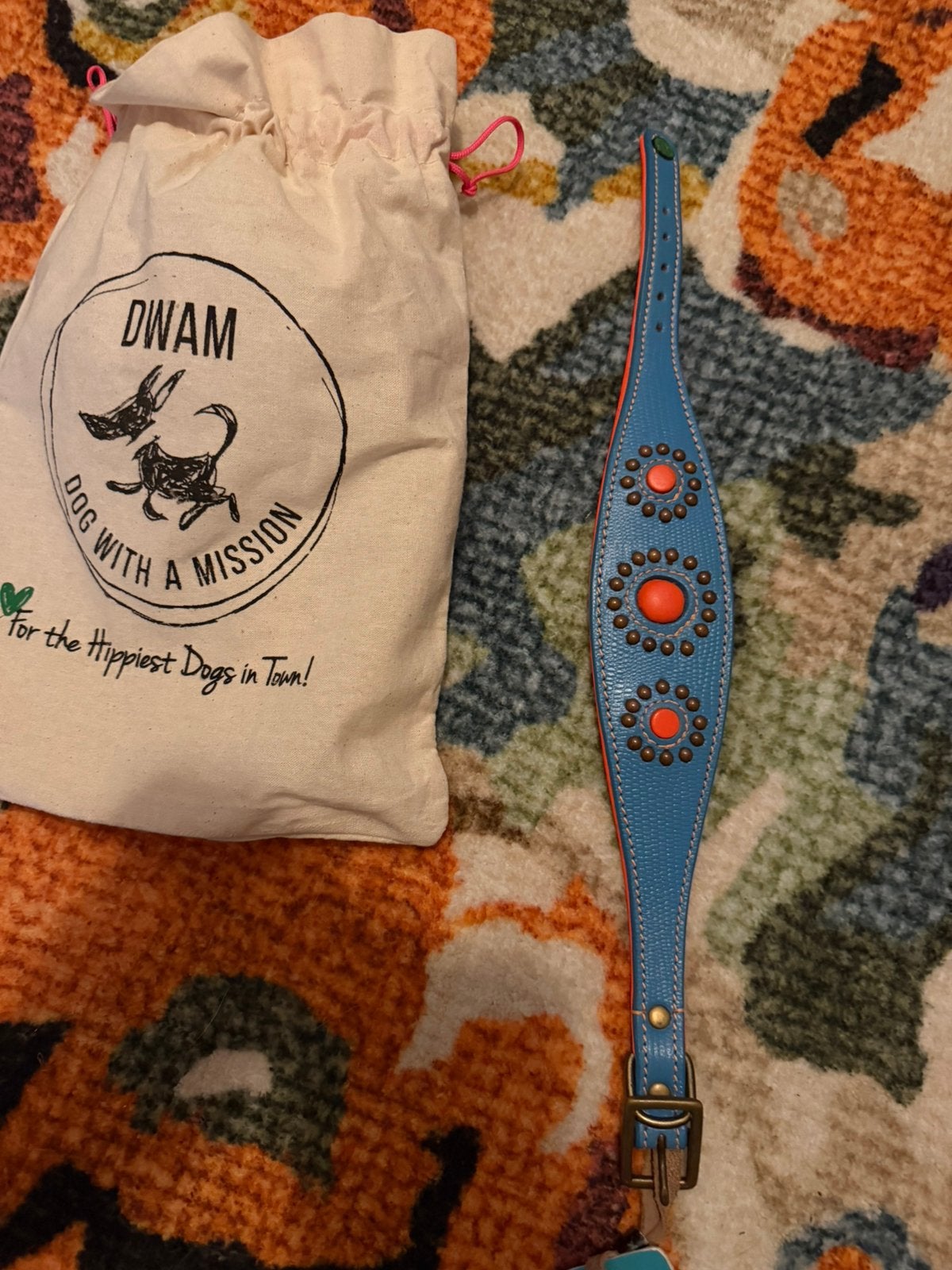 Dwam winhonden halsband maat m, Ophalen of Verzenden, Nieuw