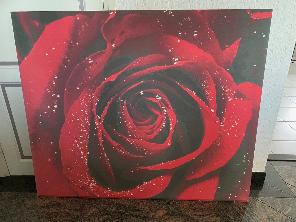 Poster op canvas, Ophalen, Gebruikt, Deurposter of groter, Rechthoekig Liggend
