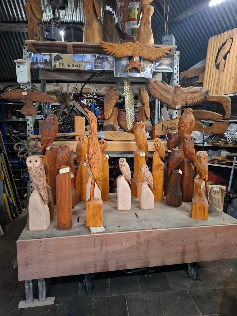 Douglas Houten Uilen - Kettingzaag Kunst voor Buiten, Tuin en Terras, Ophalen