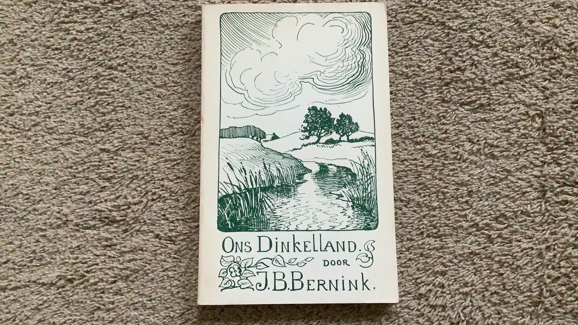 Ons Dinkelland. J.B. Bernink. Fotografische herdruk, Ophalen of Verzenden, Zo goed als nieuw, Overijssel