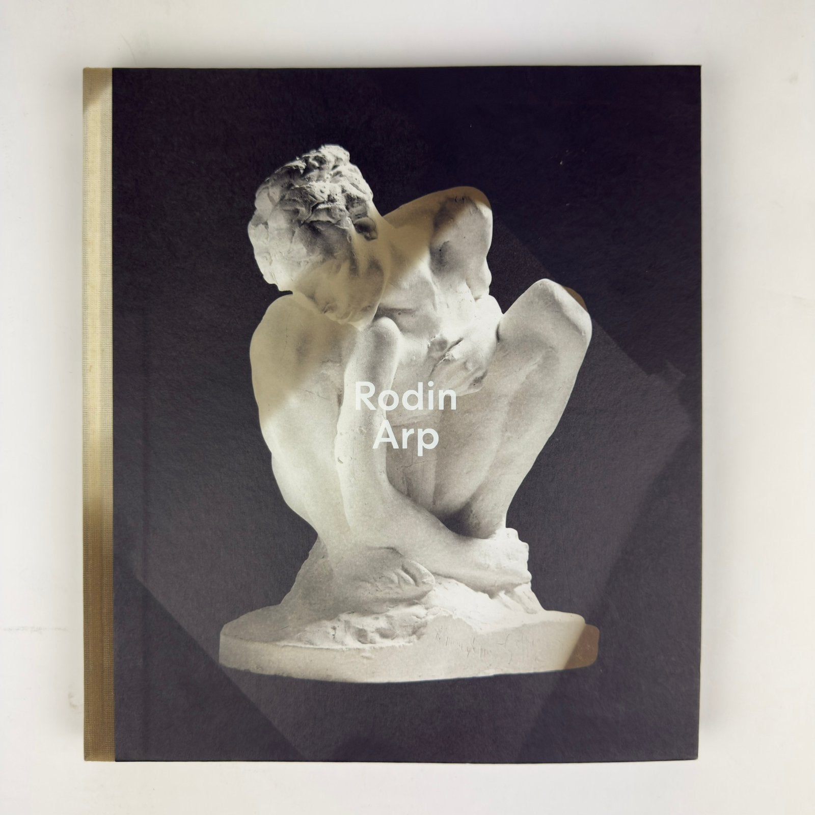 Rodin Arp – Fondation Beyeler Kunstboek Hardcover, Ophalen of Verzenden, Gelezen