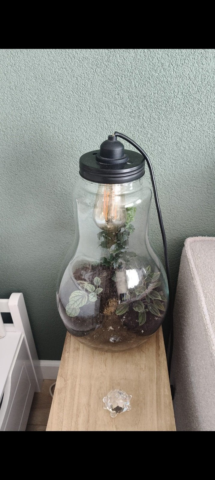 terrarium voor plantjes, Ophalen, Groen, Zo goed als nieuw, Modern