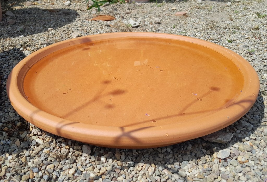 Plantenschotel terracotta, Tuin en Terras, Bloempotten, Ophalen, 40 cm of meer, Rond, Nieuw