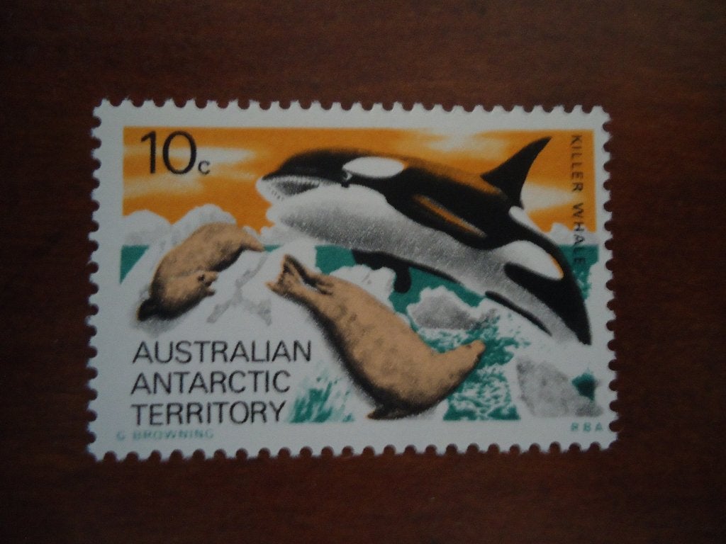 Dier orca zeehond Austr. Antarctica 1973, mi. 28 postfris, Ophalen of Verzenden, Postfris, Dier of Natuur