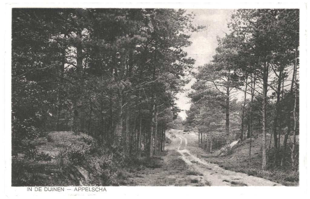 966465 Appelscha 1923 In de Duinen Gelopen met postzegel, Ophalen of Verzenden, 1920 tot 1940, Gelopen, Friesland