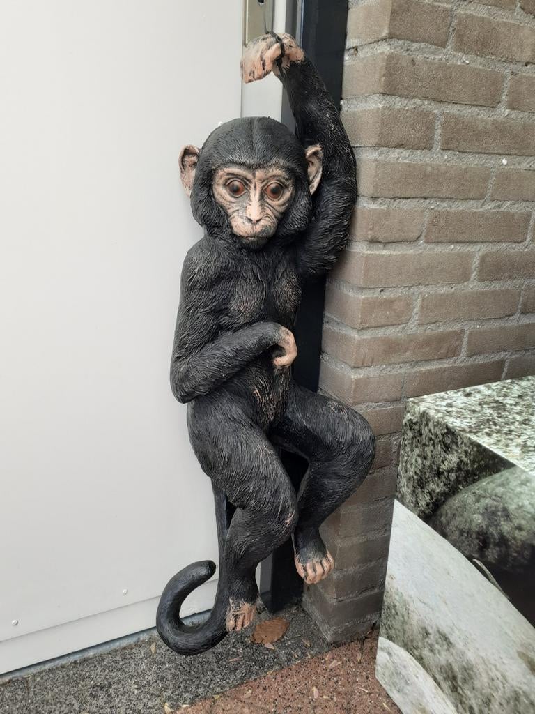 Nieuwe polystone hangaap aap jungle tuinbeeld beeld mancave, Tuin en Terras, Ophalen, Nieuw, Overige materialen