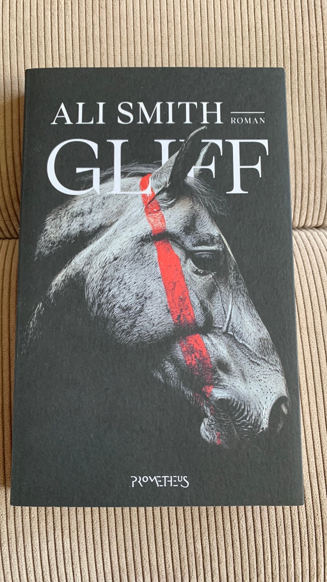 Ali Smith - Gliff, Ophalen of Verzenden, Zo goed als nieuw, Ali Smith