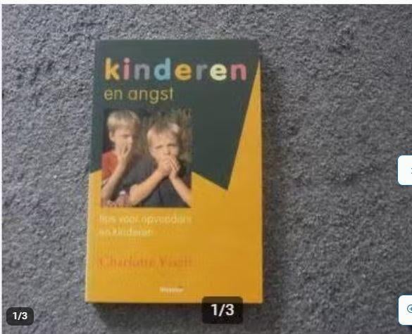 Kinderen en angst Charlotte Visch, Charlotte Visch, Zwangerschap en Bevalling, Ophalen of Verzenden, Zo goed als nieuw