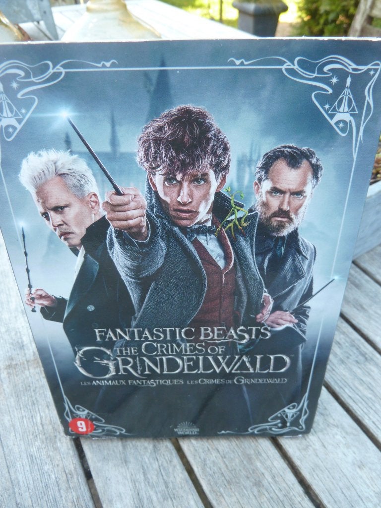 Fantastic beasts - The crimes of Grindelwald - dvd, Vanaf 9 jaar, Ophalen of Verzenden, Zo goed als nieuw, Fantasy