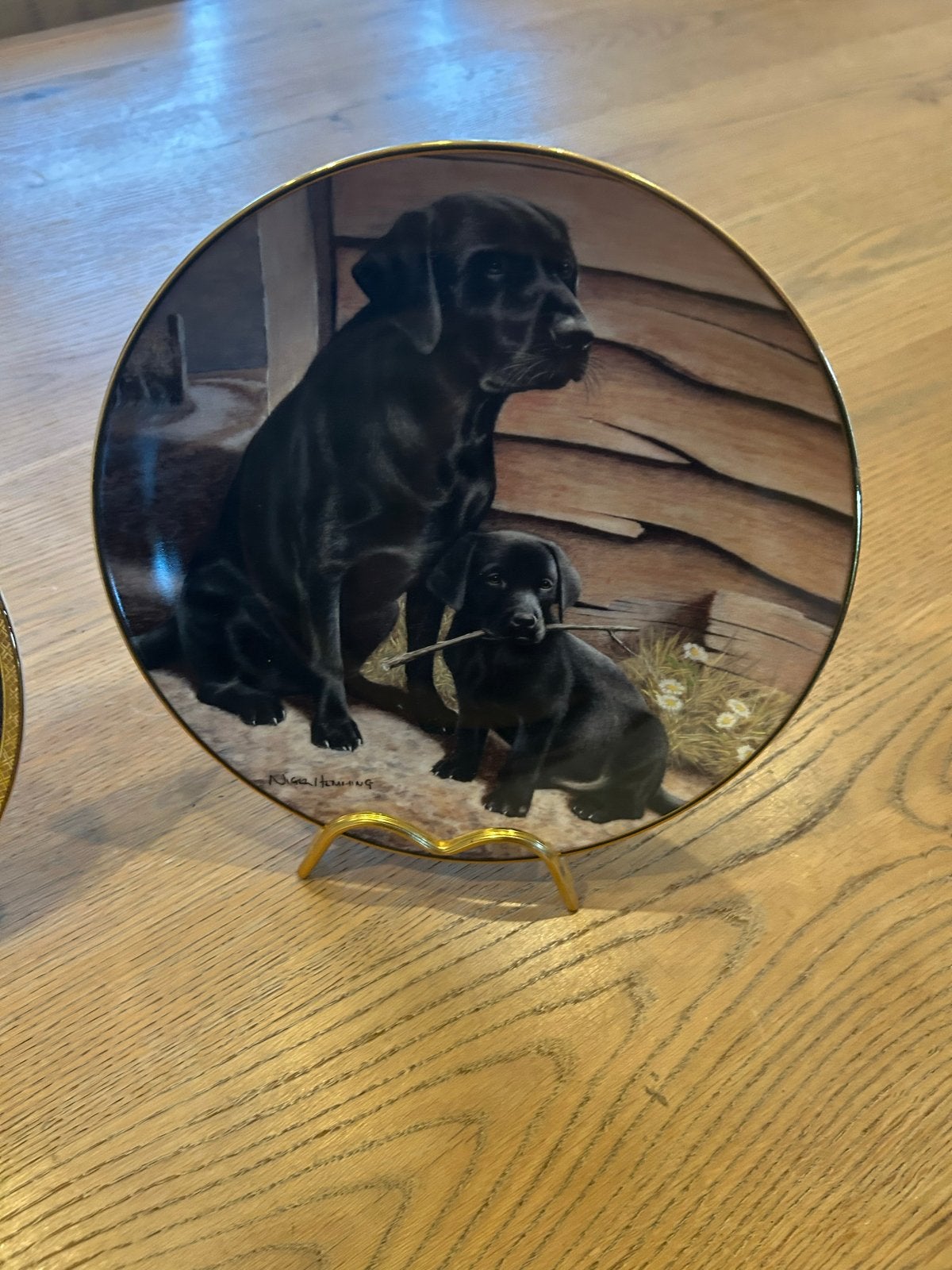 Franklin Mint Labrador Honden Sierborden - Set van 4, Ophalen of Verzenden