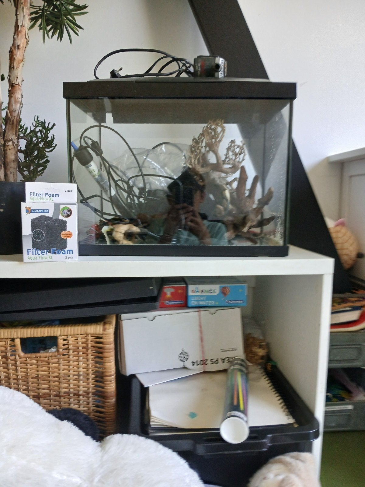 Aauarium 40l met techniek en deco, Dieren en Toebehoren, Vissen | Aquaria en Toebehoren, Ophalen