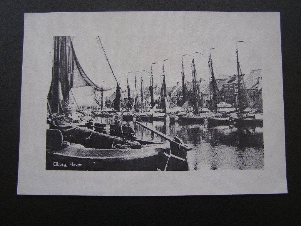 Foto: Haven Elburg, Gelderland, met vissersvloot, Antiek en Kunst, Kunst | Tekeningen en Foto's, Ophalen of Verzenden, Print, Fotografie