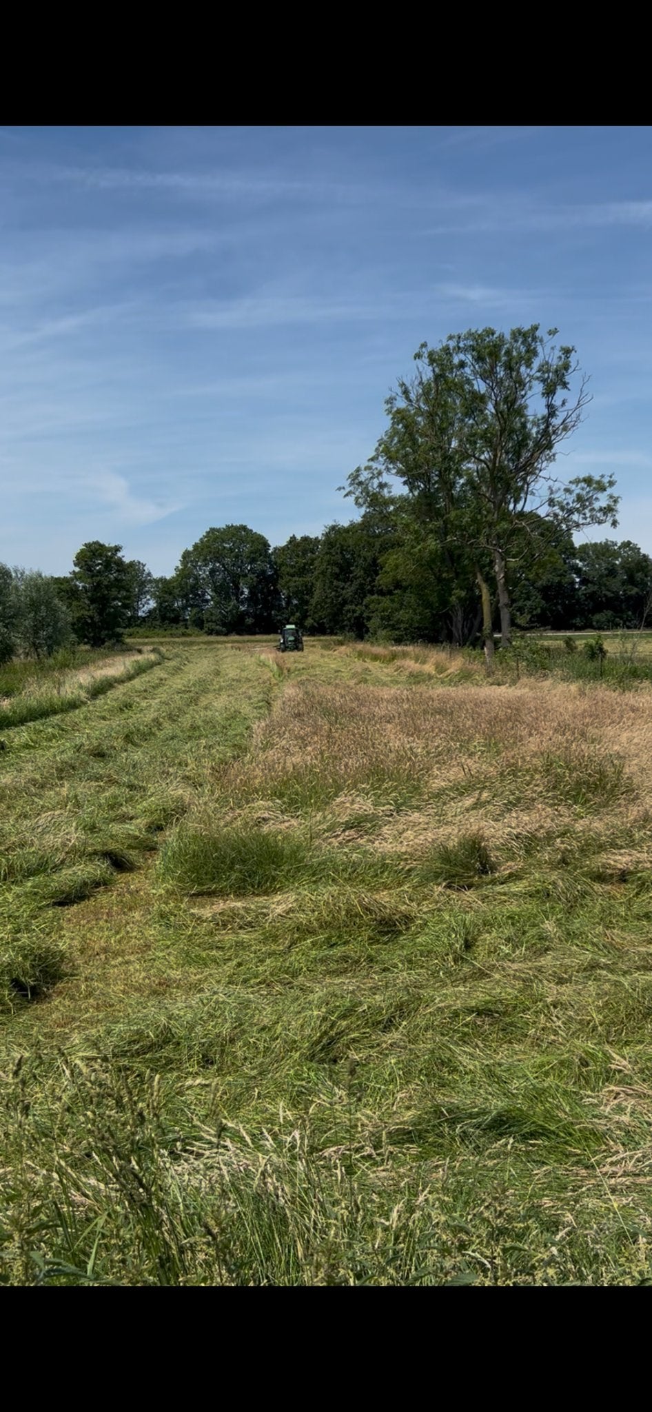 Hooibaaltjes te koop - Vers en van eigen land, Dieren en Toebehoren, Ophalen, Vee