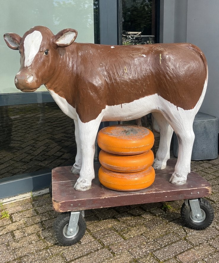Koe beeld polyester verrijdbaar decoratie, Verzamelen, Ophalen, Gebruikt, Dier
