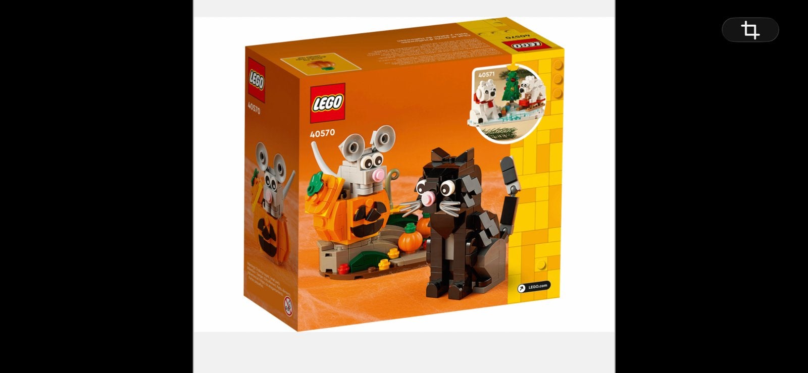 Lego 40570 Halloween kat en muis, Kinderen en Baby's, Speelgoed | Duplo en Lego, Overige thema's, Lego, Ophalen of Verzenden, Zo goed als nieuw