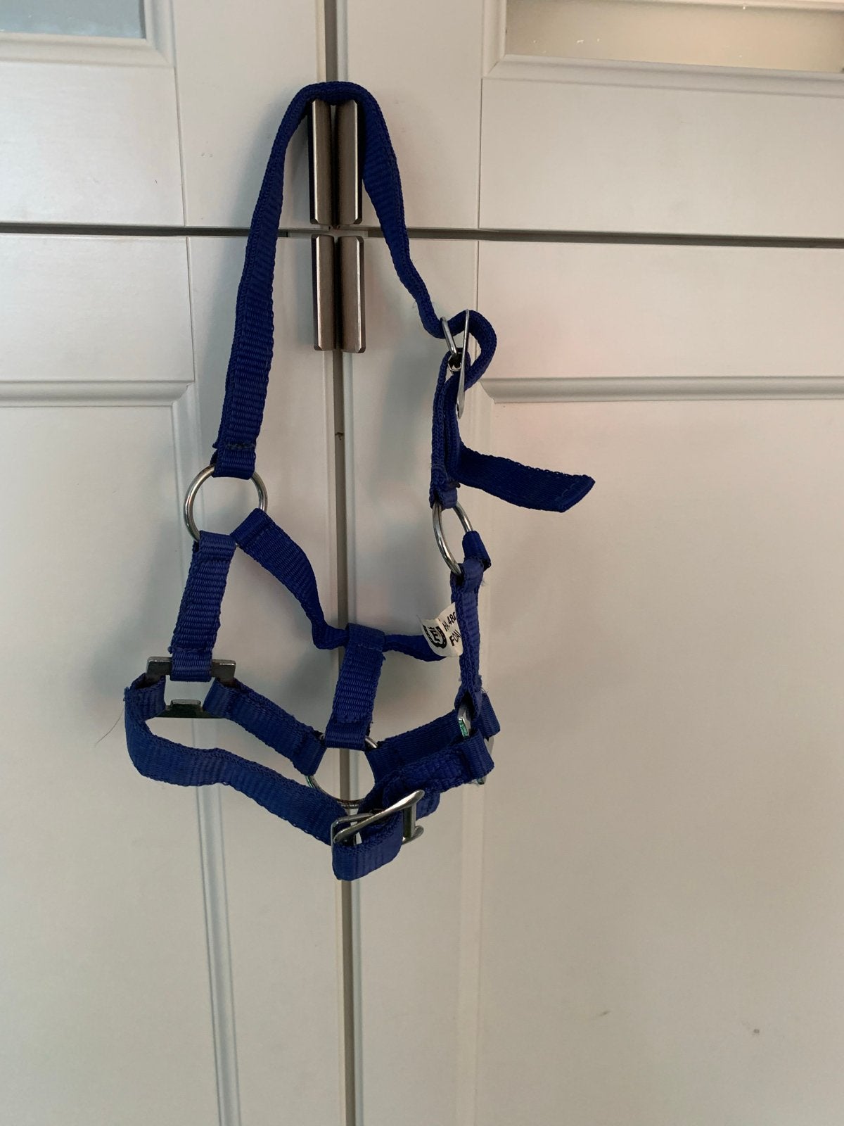 Veulenhalster kobalt blauw, Ophalen of Verzenden
