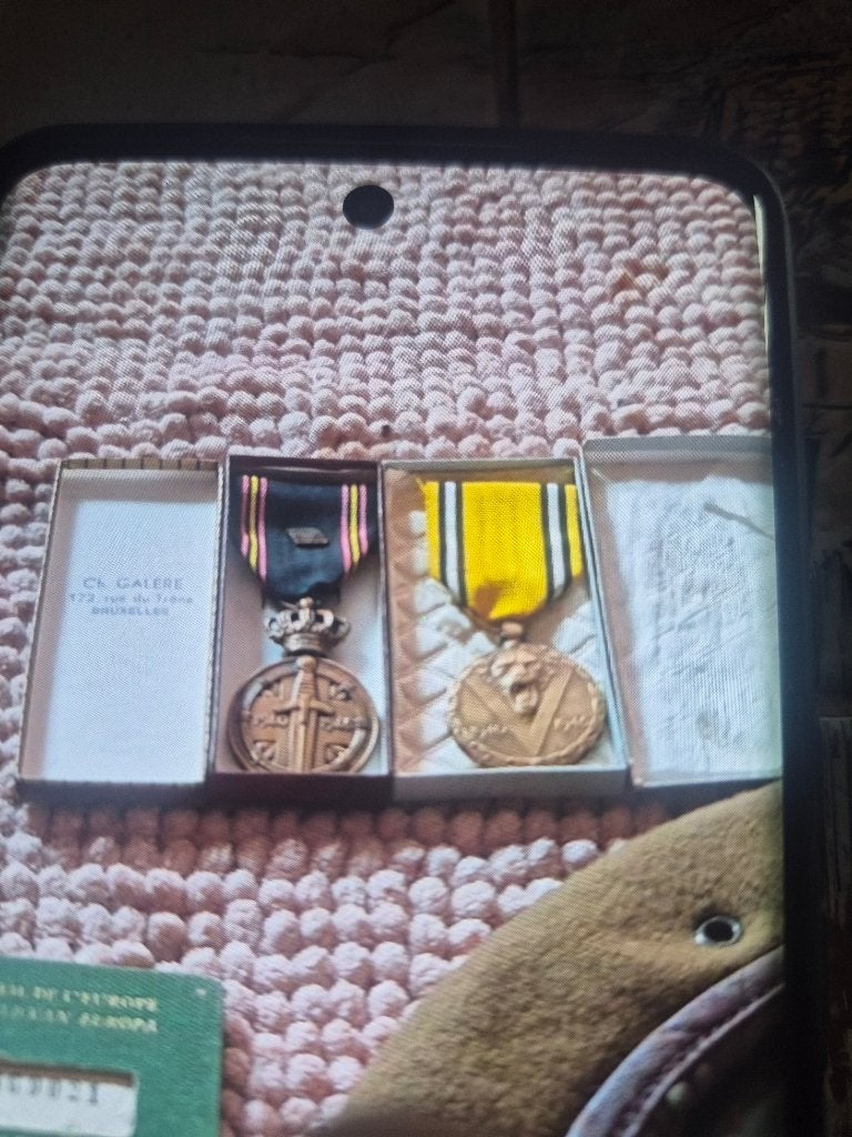 BELGE LOT, Verzenden, Landmacht, Nederland, Embleem of Badge