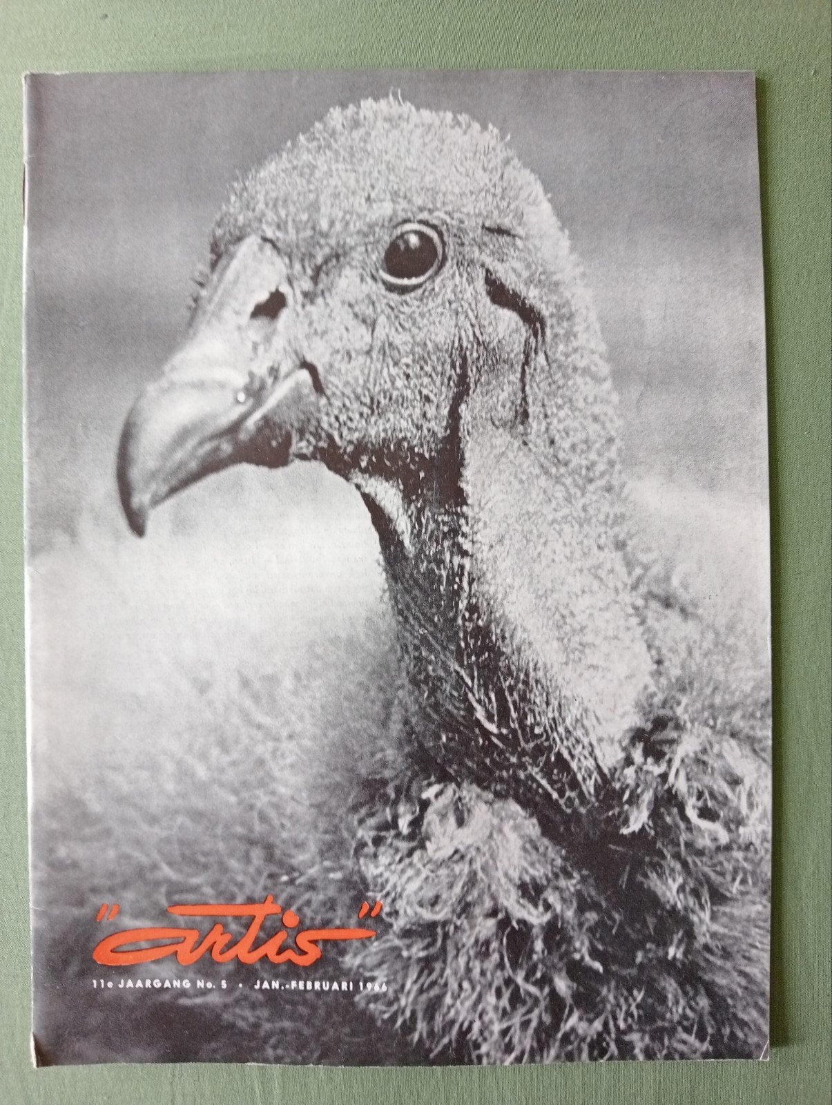 Artis Magazine - 11e Jaargang No. 1 - Jan-Feb 1964, Ophalen of Verzenden, Gelezen, Wetenschap en Natuur