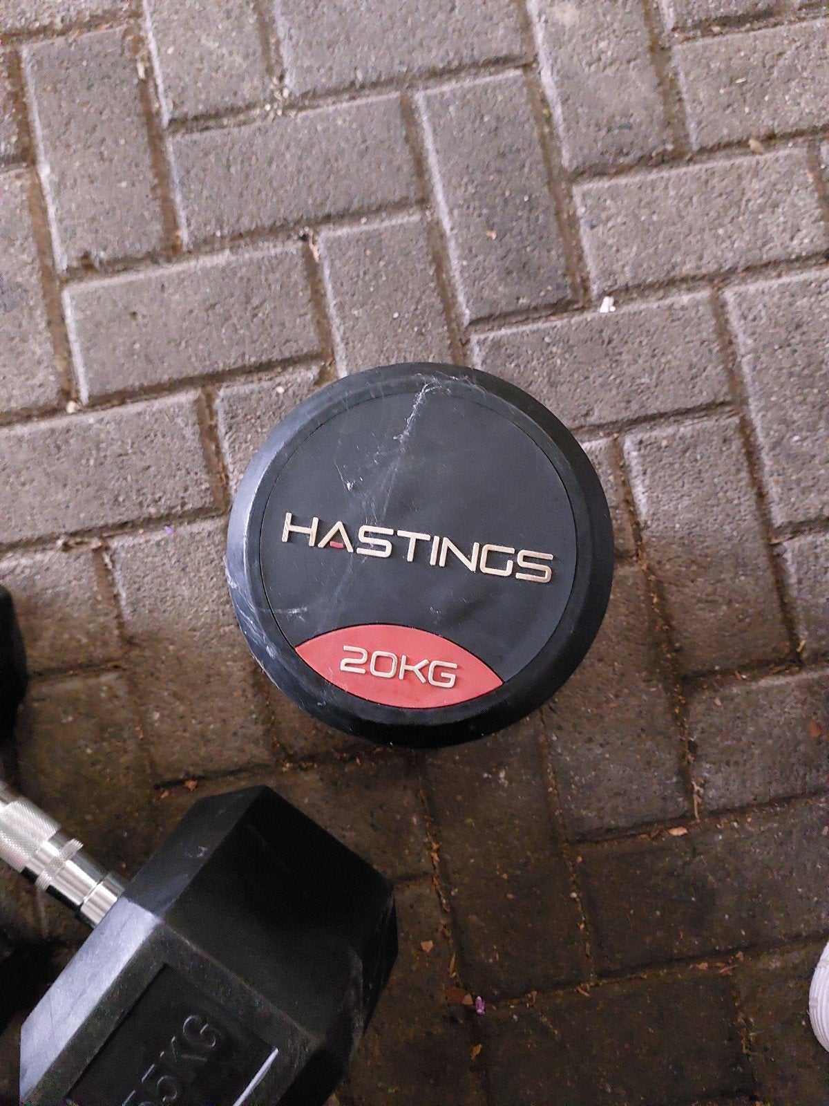 Hastings Dumbbell 20KG - Zo goed als nieuw, Ophalen, Zo goed als nieuw, Rug, Dumbbell