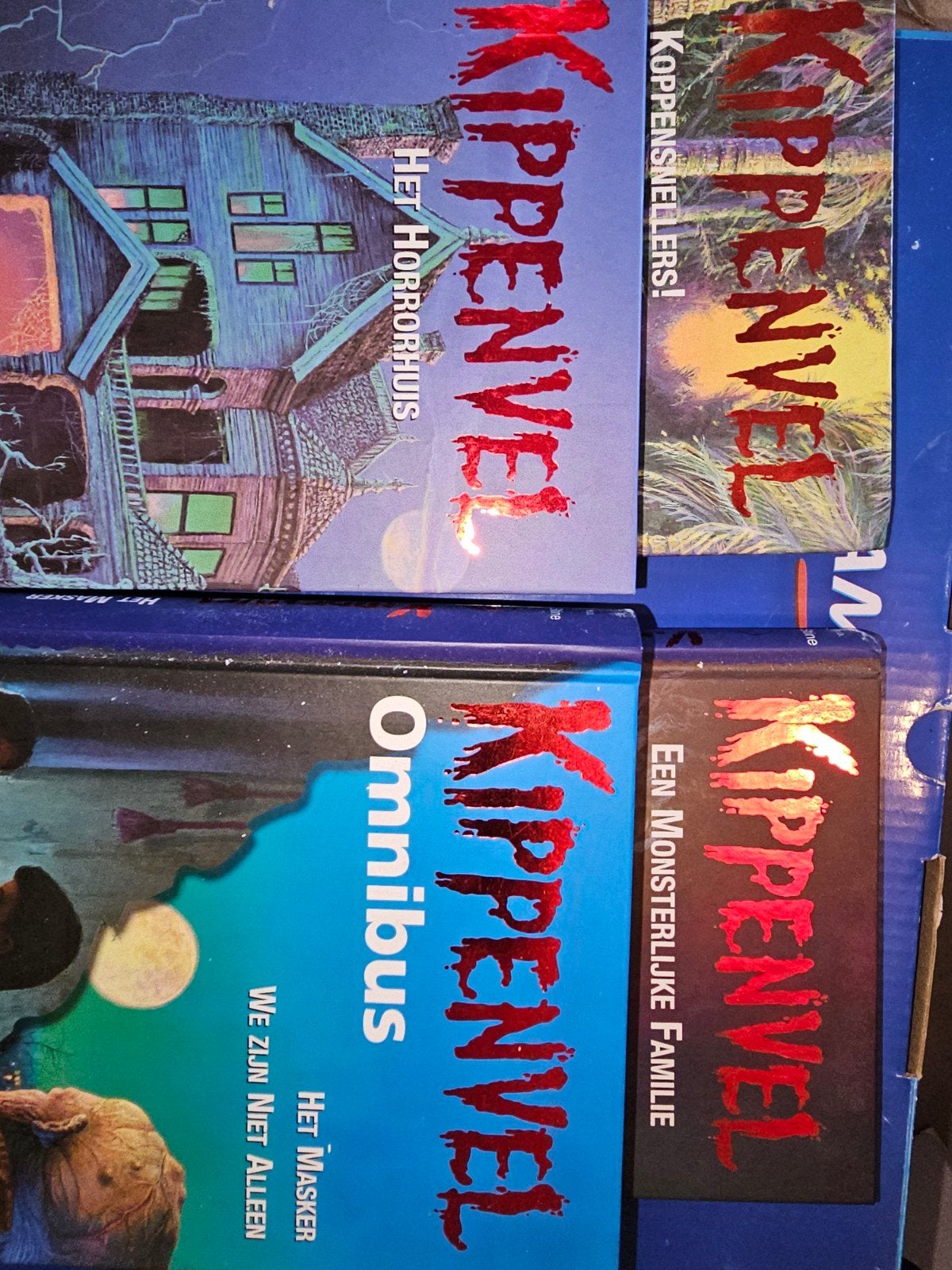 kippenvel boeken, Boeken, Gelezen, Robert lawrens stine, Ophalen of Verzenden, Fictie