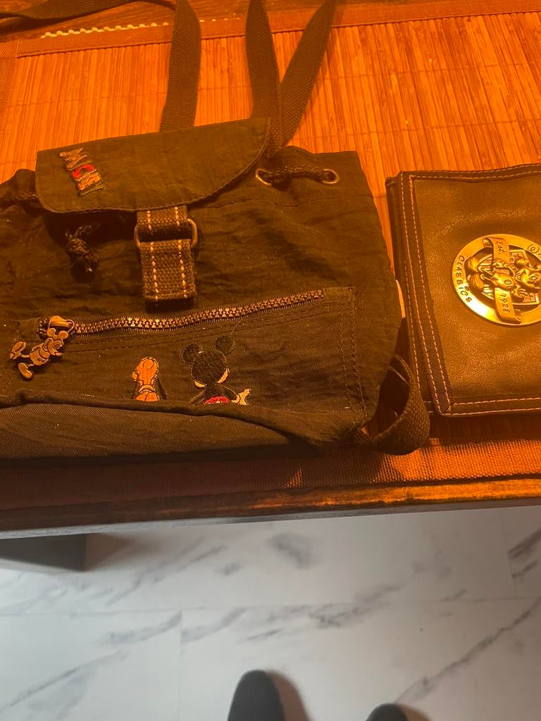 Mickey Disney rugzak/Walt Disney beurs., Ophalen of Verzenden, Zo goed als nieuw, Overige kleuren, Schoudertasje