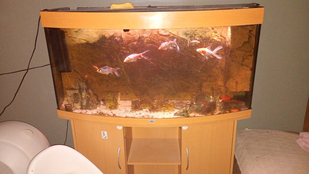 Aquarium  Juwel 160 liter zonder vissen, Dieren en Toebehoren, Ophalen, Pomp, Zo goed als nieuw, Juwel