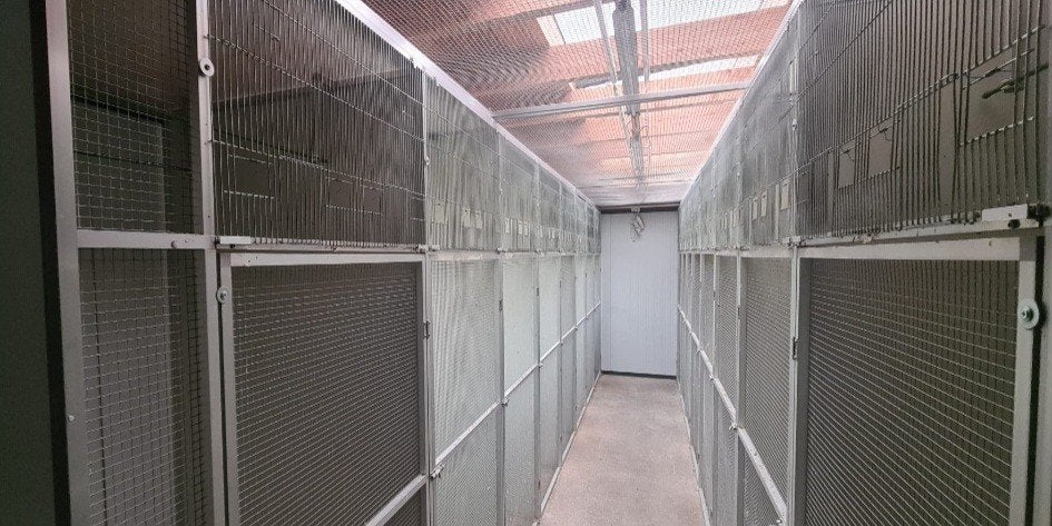 Vluchten 17 stuks in 1 koop €120 per stuk, Ophalen, Gebruikt, Aluminium, Vogelkooi