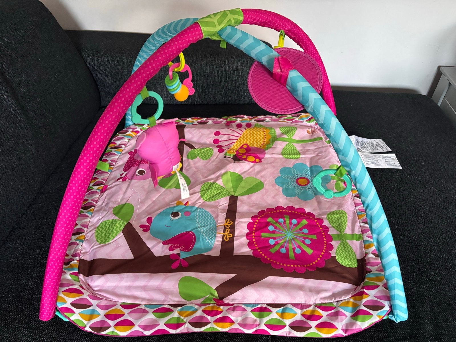Bright Starts Speelkleed met speelboog en speeltjes, Ophalen, Gebruikt, Speelkleed