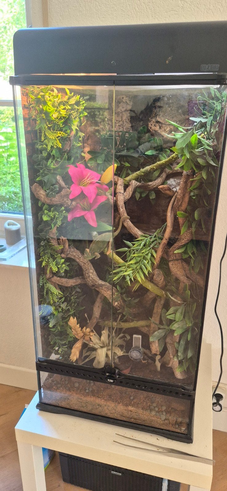 Exo Terra terrarium 45x45x90, Dieren en Toebehoren, Ophalen, Zo goed als nieuw