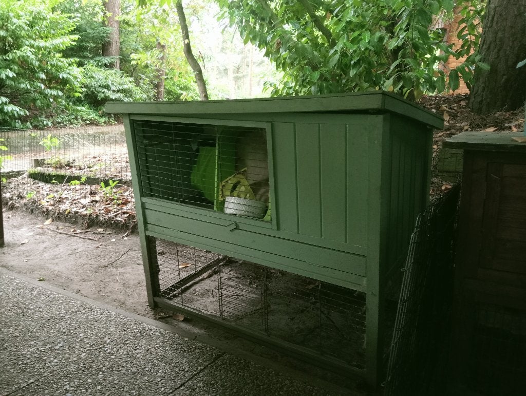 Konijnen hokken gratis, Dieren en Toebehoren, Ophalen, 90 cm of meer, Konijn, Hok