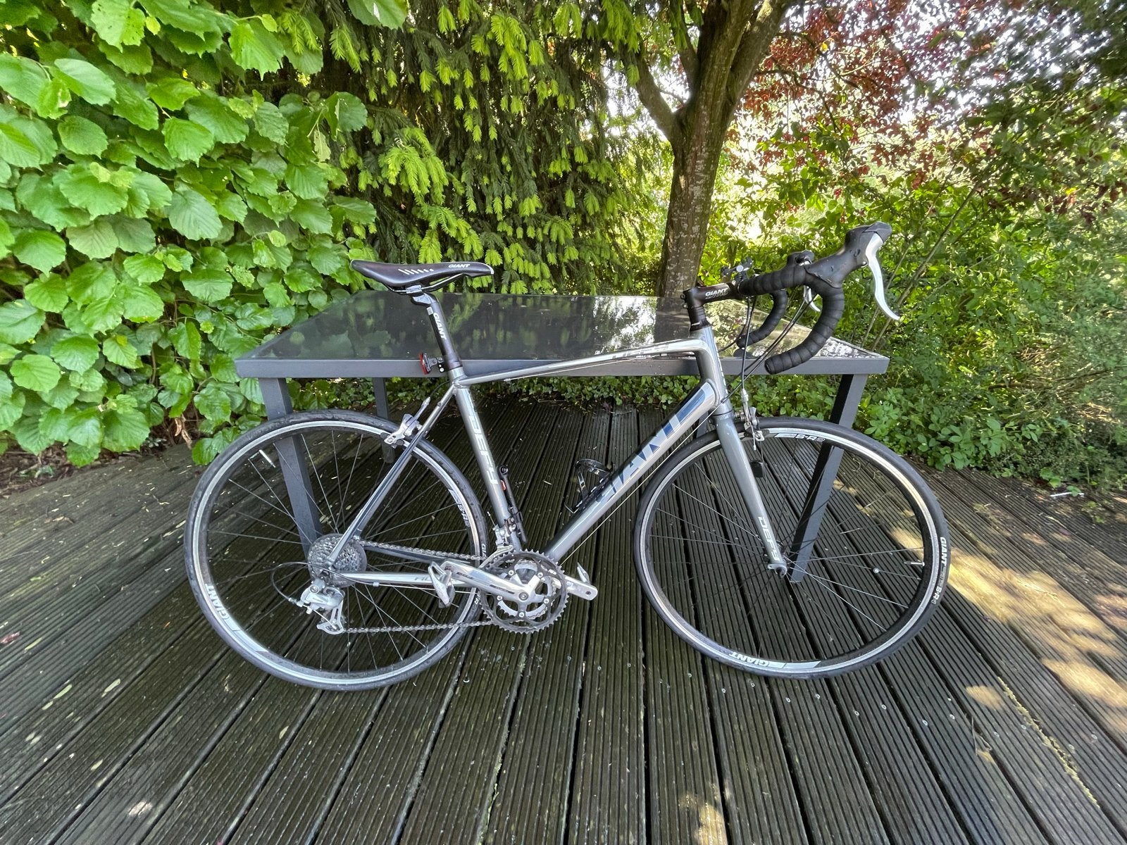 Giant Defy Aluxx, Fietsen en Brommers, Ophalen, 28 inch, Aluminium, Giant