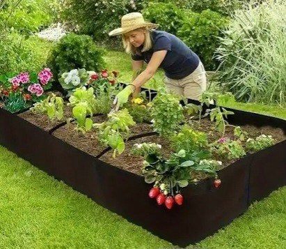 Gratis groentetuin stekjes gevraagd, Tuin en Terras, Planten | Tuinplanten, Ophalen of Verzenden, Overige soorten, Volle zon