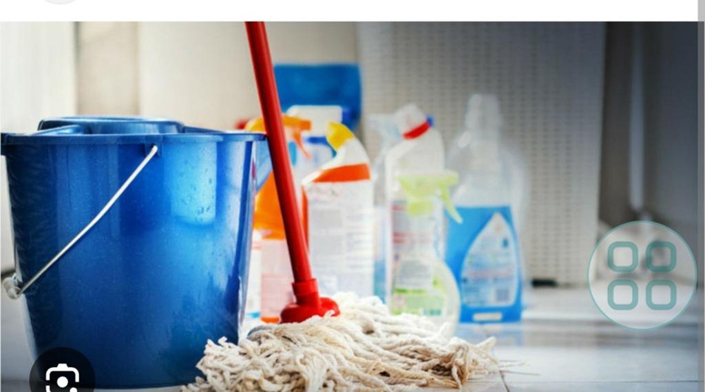 Schoonmaakster aangeboden, Vacatures, Vacatures | Schoonmaak en Facilitaire diensten