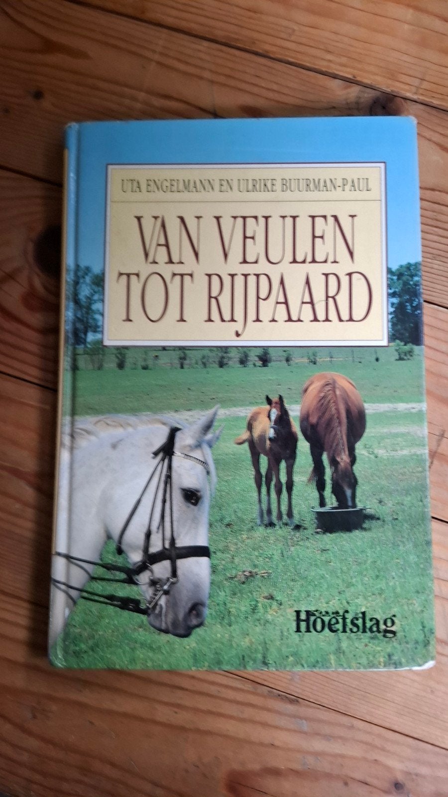 Paarden boek van veulen tot rijpaard, Ophalen of Verzenden, Zo goed als nieuw, Paarden of Pony's