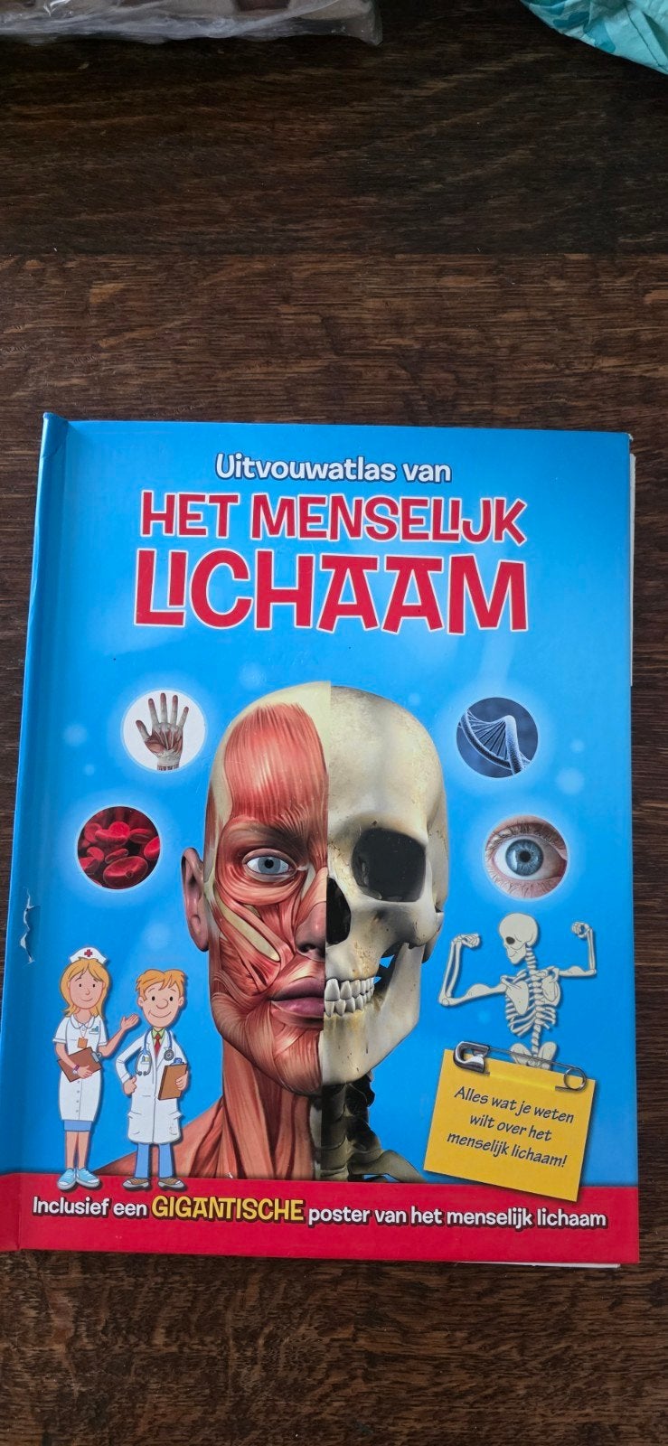 Uitvouwatlas van het Menselijk Lichaam - Kinderboek, Ophalen of Verzenden