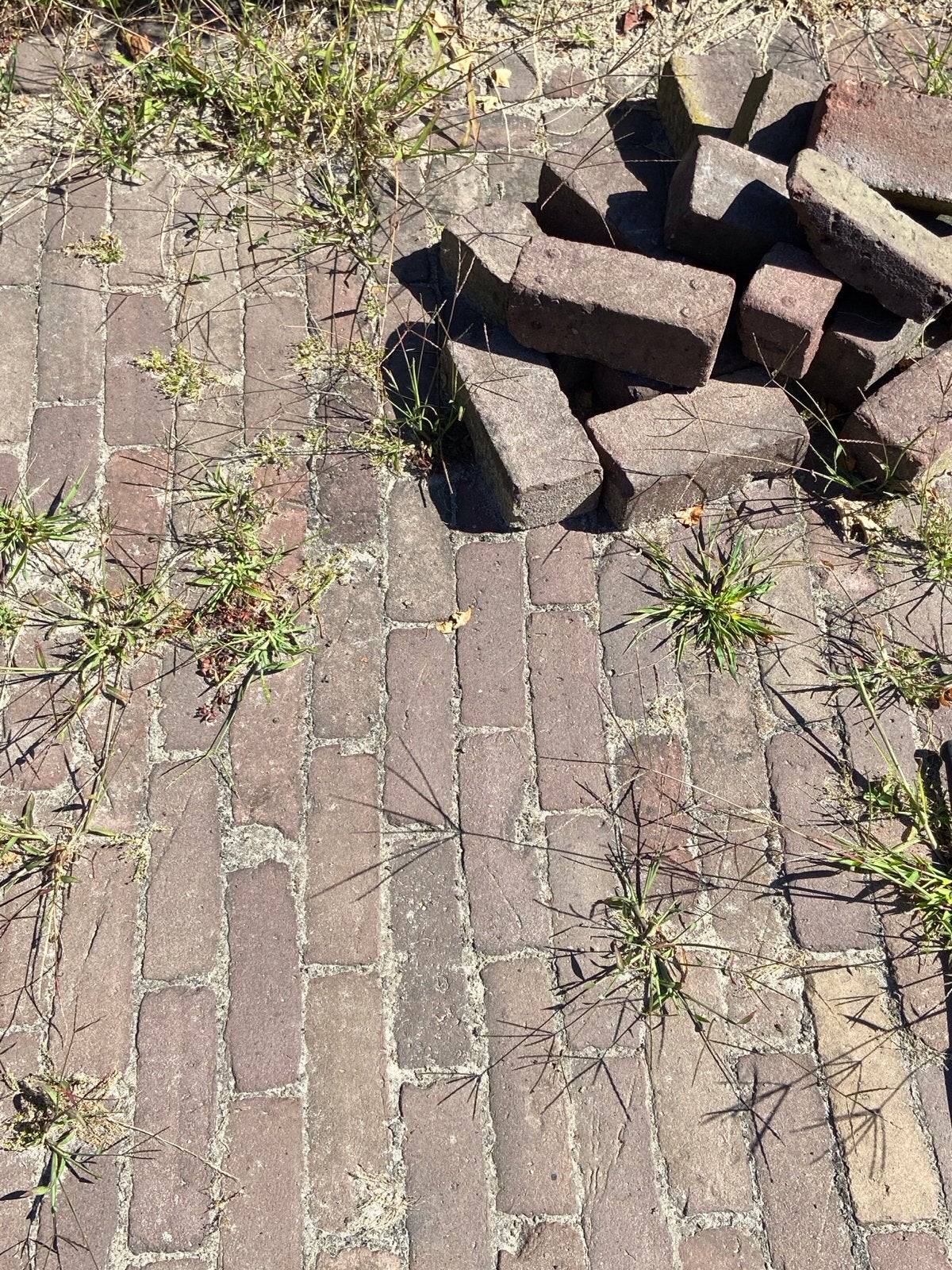Oude waaltjes - Dikformaat, Ophalen, Gebruikt, Klinkers, 10 m² of meer