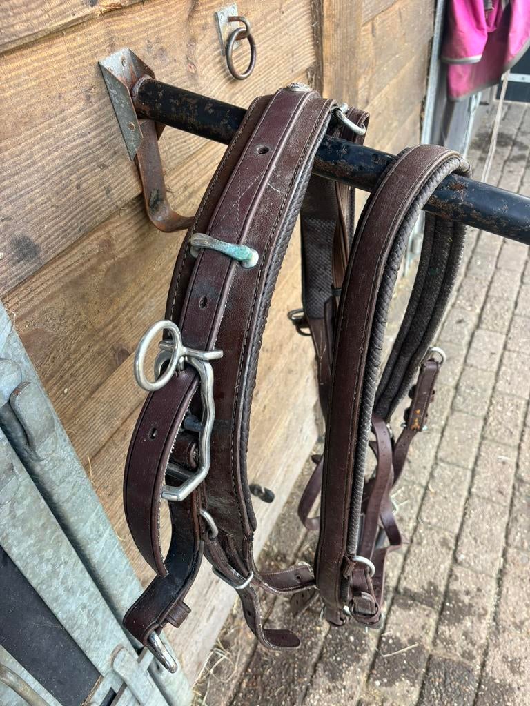 Ideal kunsstof marathon tuig maat full, Dieren en Toebehoren, Paarden en Pony's | Hoofdstellen en Tuigage, Ophalen, Gebruikt, Overige soorten