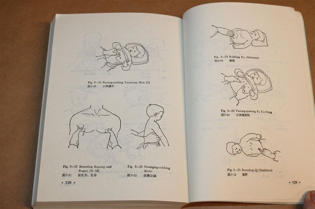 Chinese Massage Tui Na — Traditionele Geneeskunde [EN], Ophalen of Verzenden, Gelezen, Overige onderwerpen, Achtergrond en Informatie
